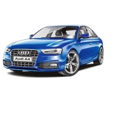 Audi A4 Petrol Battery